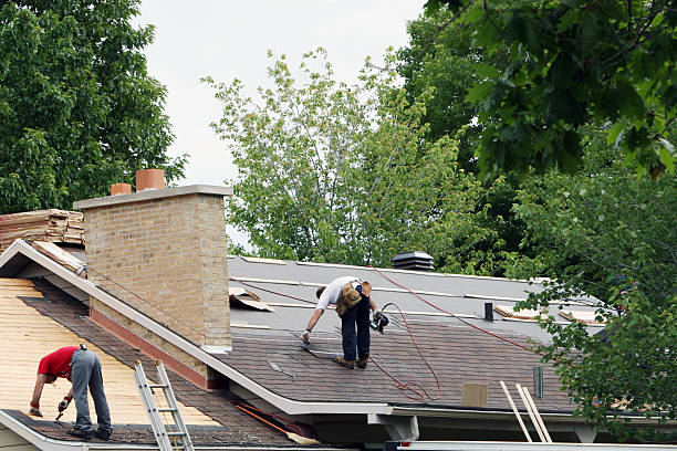 Roof Gutter Cleaning in Pine Air, FL